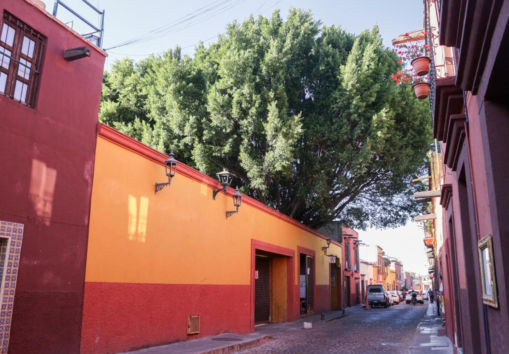 Hotel Casa Relox 43 San Miguel de Allende Zewnętrze zdjęcie